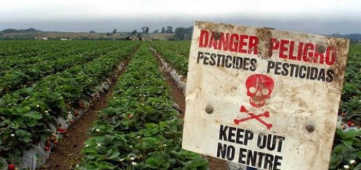 pesticides-1